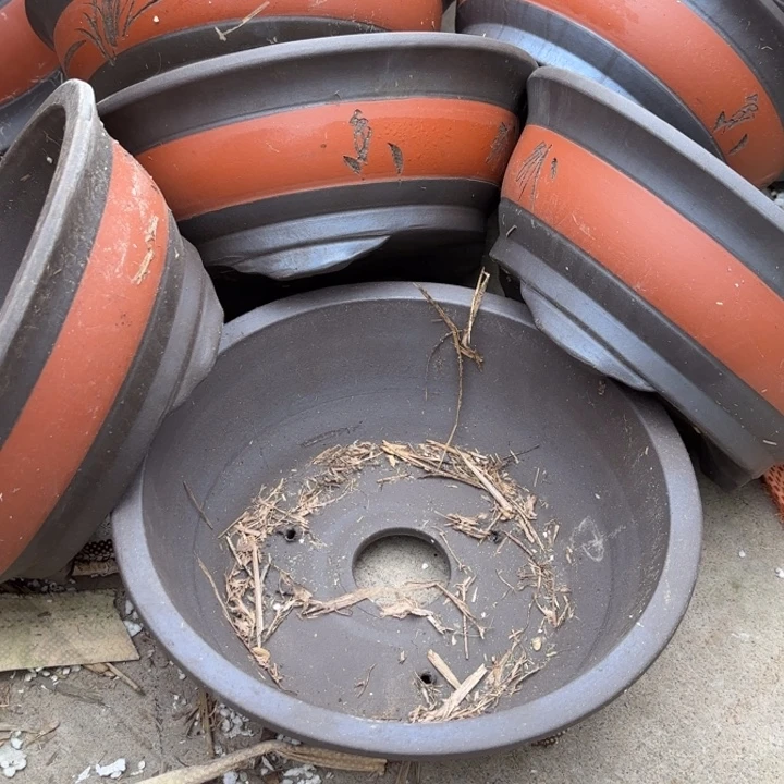 花盆紫砂100-7。   25-10。