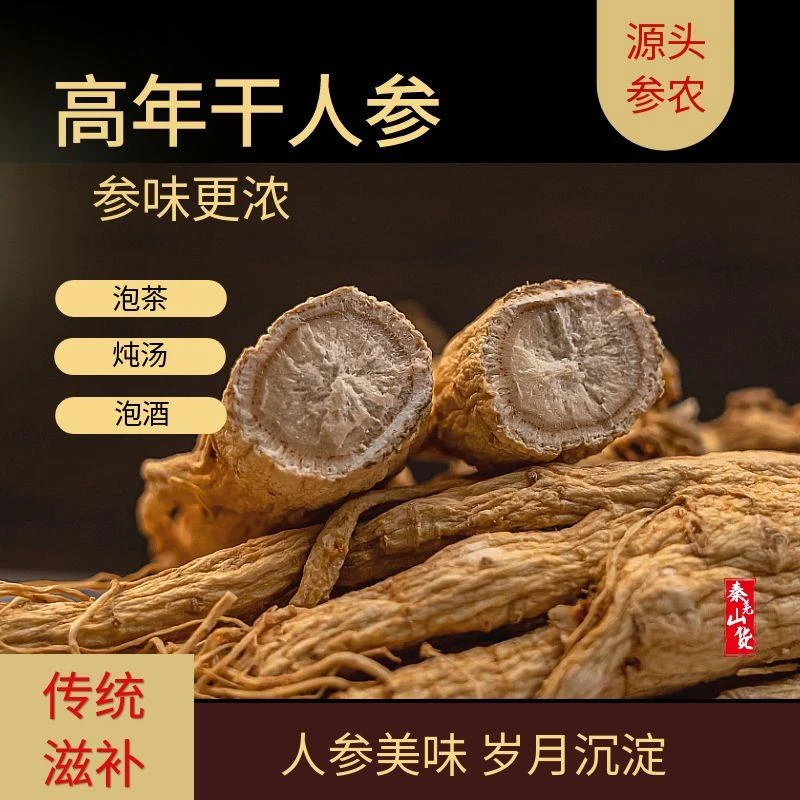 秦岭深山自寻人参自然生长