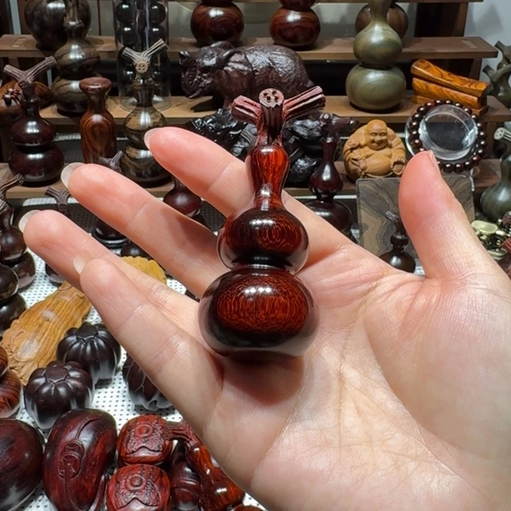 飞***雲木东非小叶葫芦葫芦