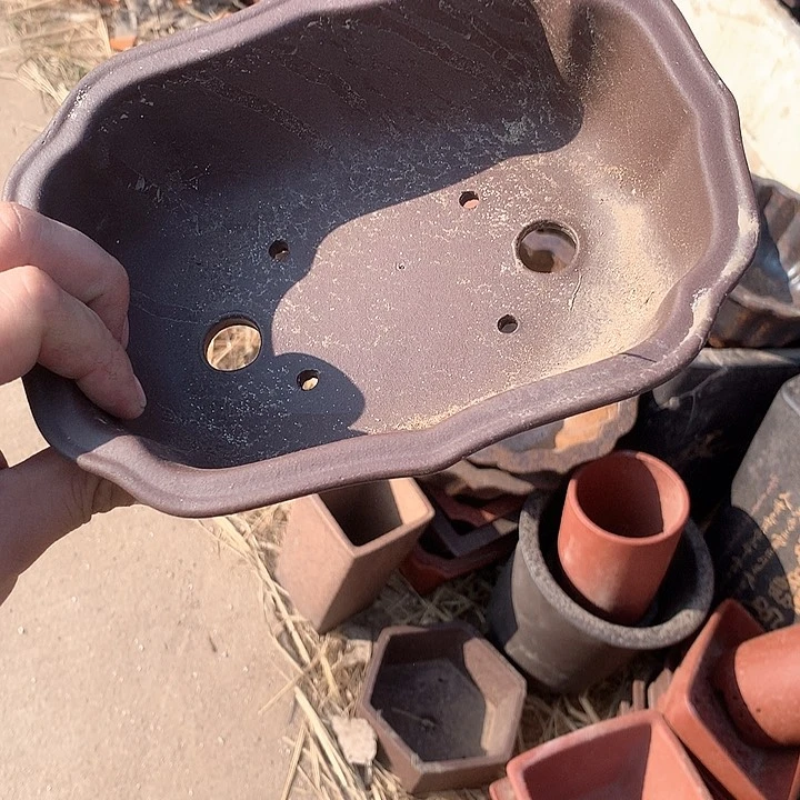 紫砂我要努力赚钱给你们