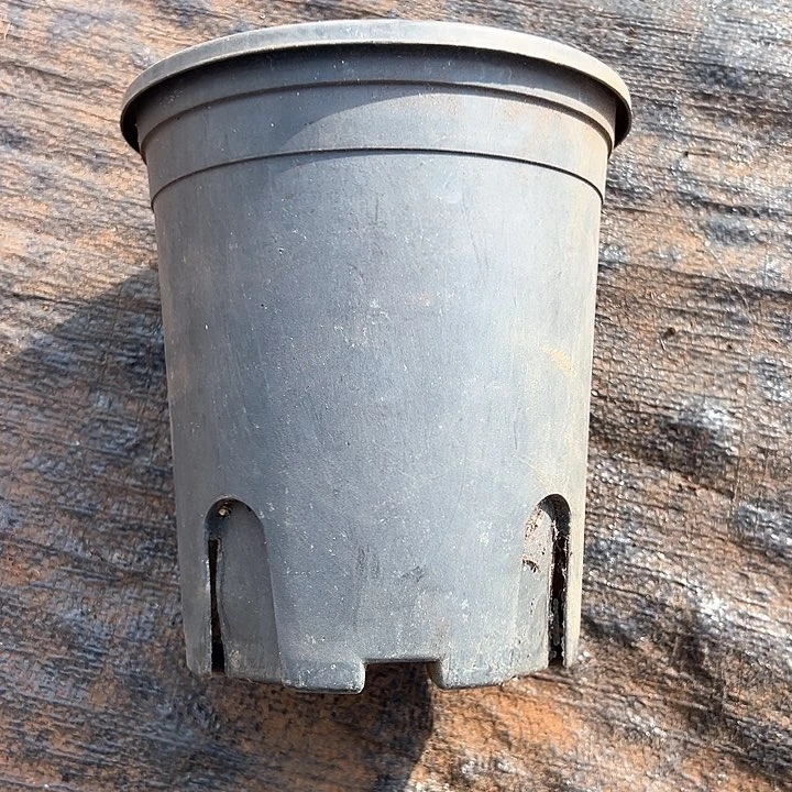 塑料口径15.5 高度17 一组15个