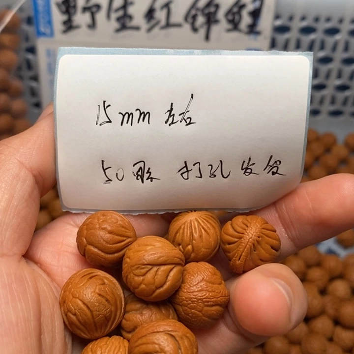 桃核手串用****715mm野生红锦鲤50颗打底带绳（打孔）