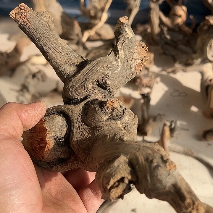 大叶紫檀（黑酸枝木类）侯****室