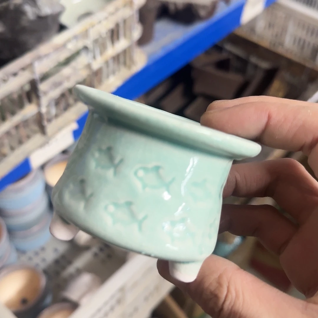 福利局绿植多肉盆［凑9元包邮24小时发］4072