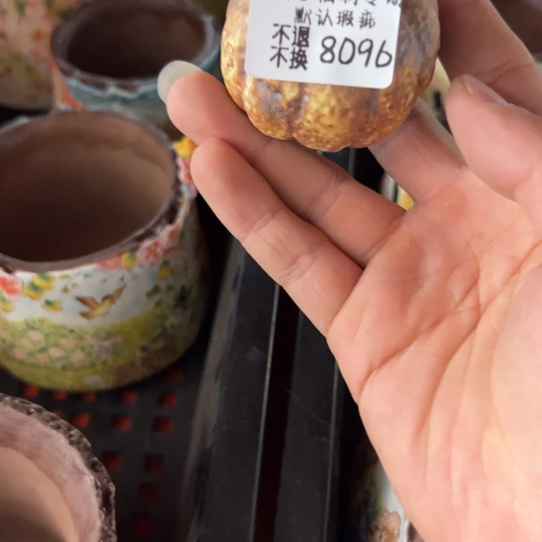 8096福利美盆来咯