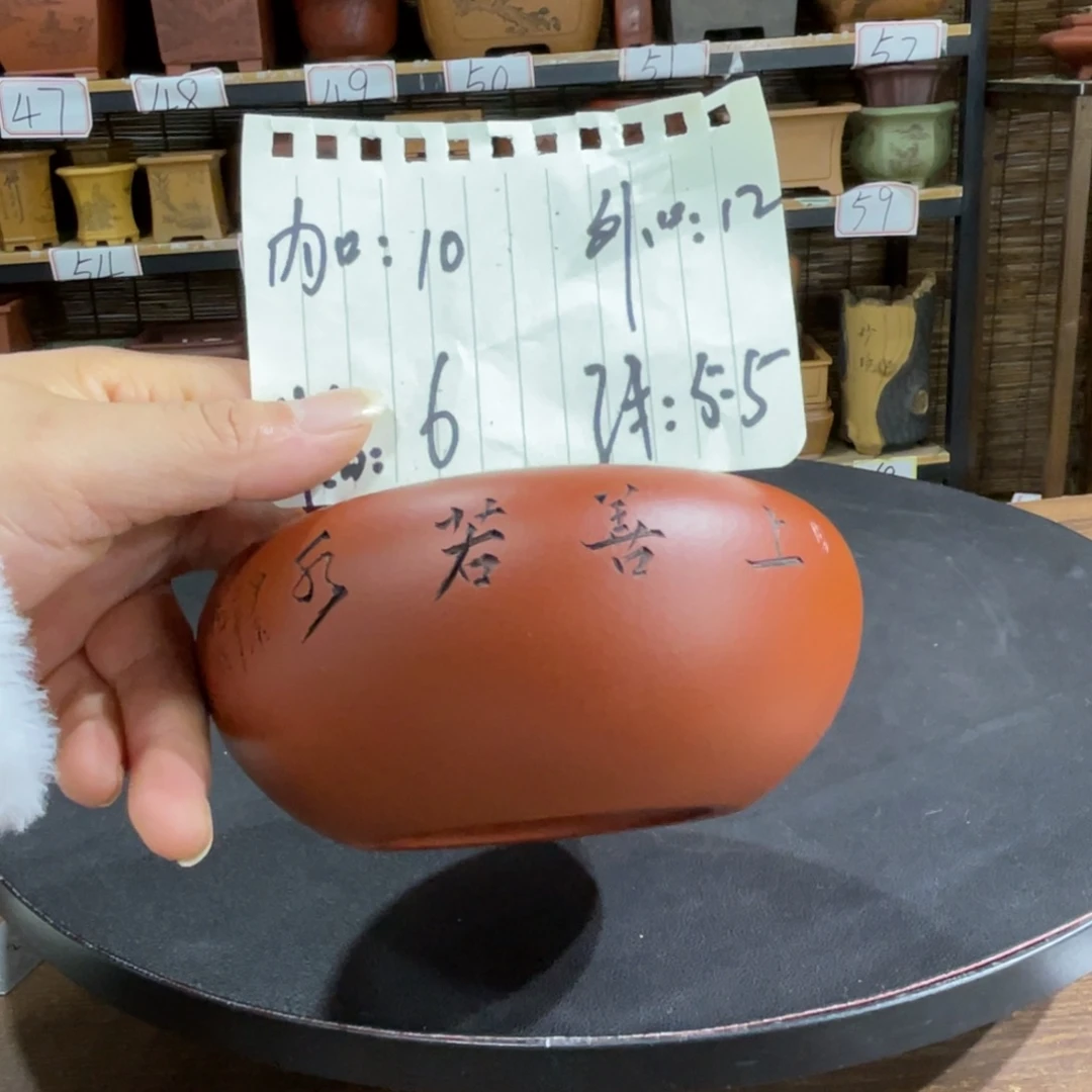 紫砂花盆紫砂花盆在这里