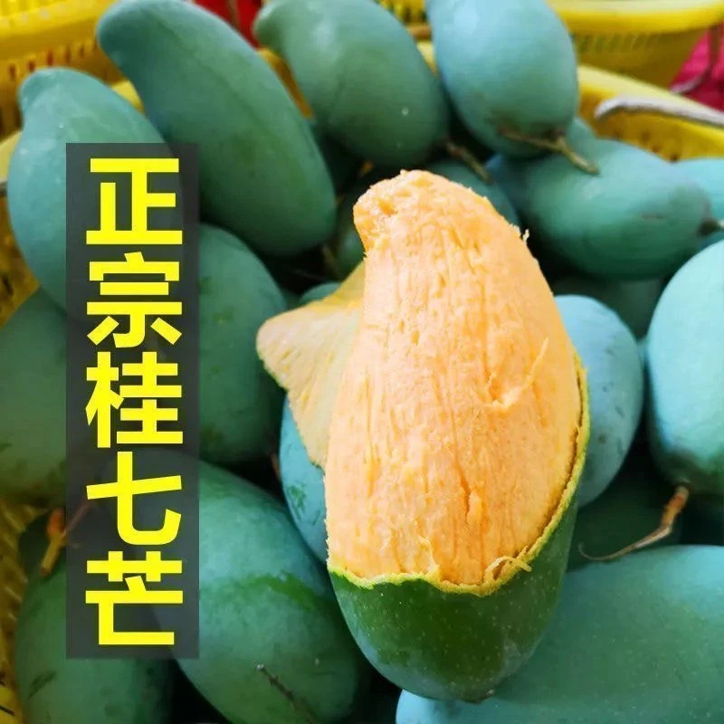 【正宗】广西百色田东桂七芒果当季新鲜水果批发包邮