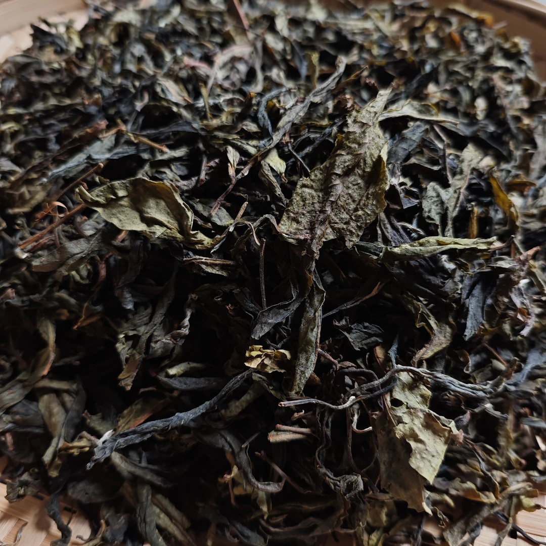 昔归黄金叶 普洱茶生茶200克