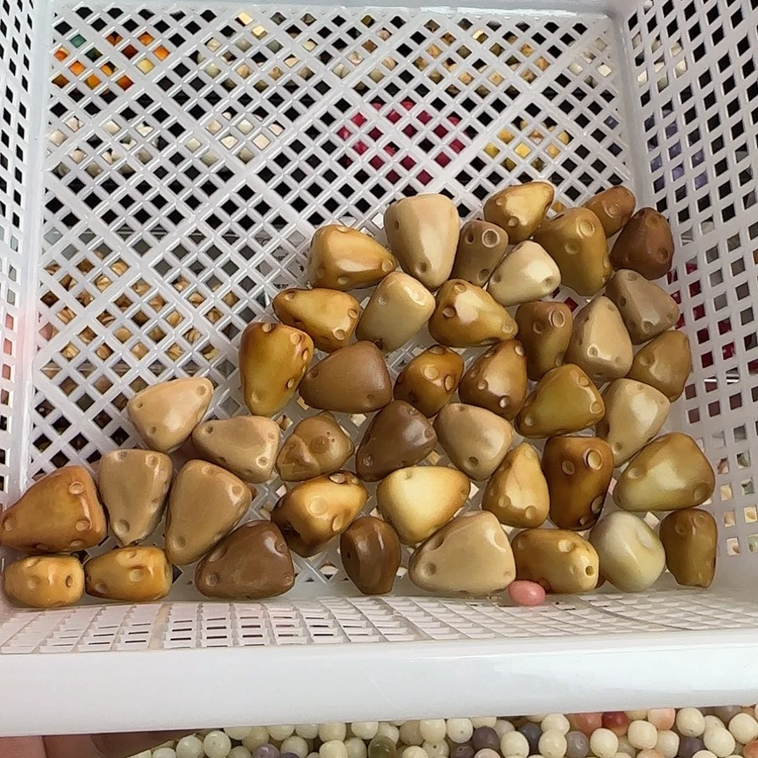 菩提根/象牙果手串微瑕疵奶酪41颗处理（单价2.5）