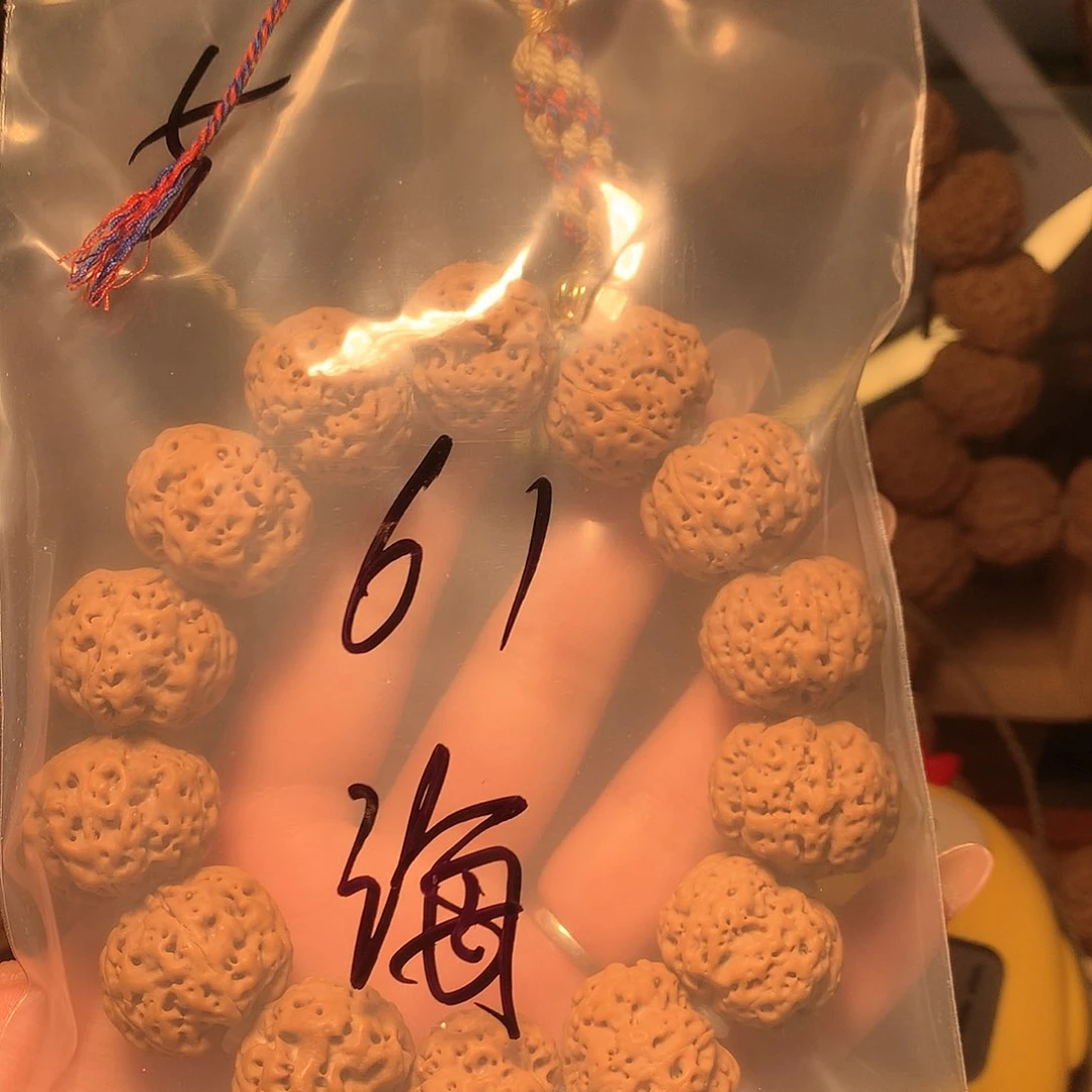 金刚菩提吊坠海****r5。