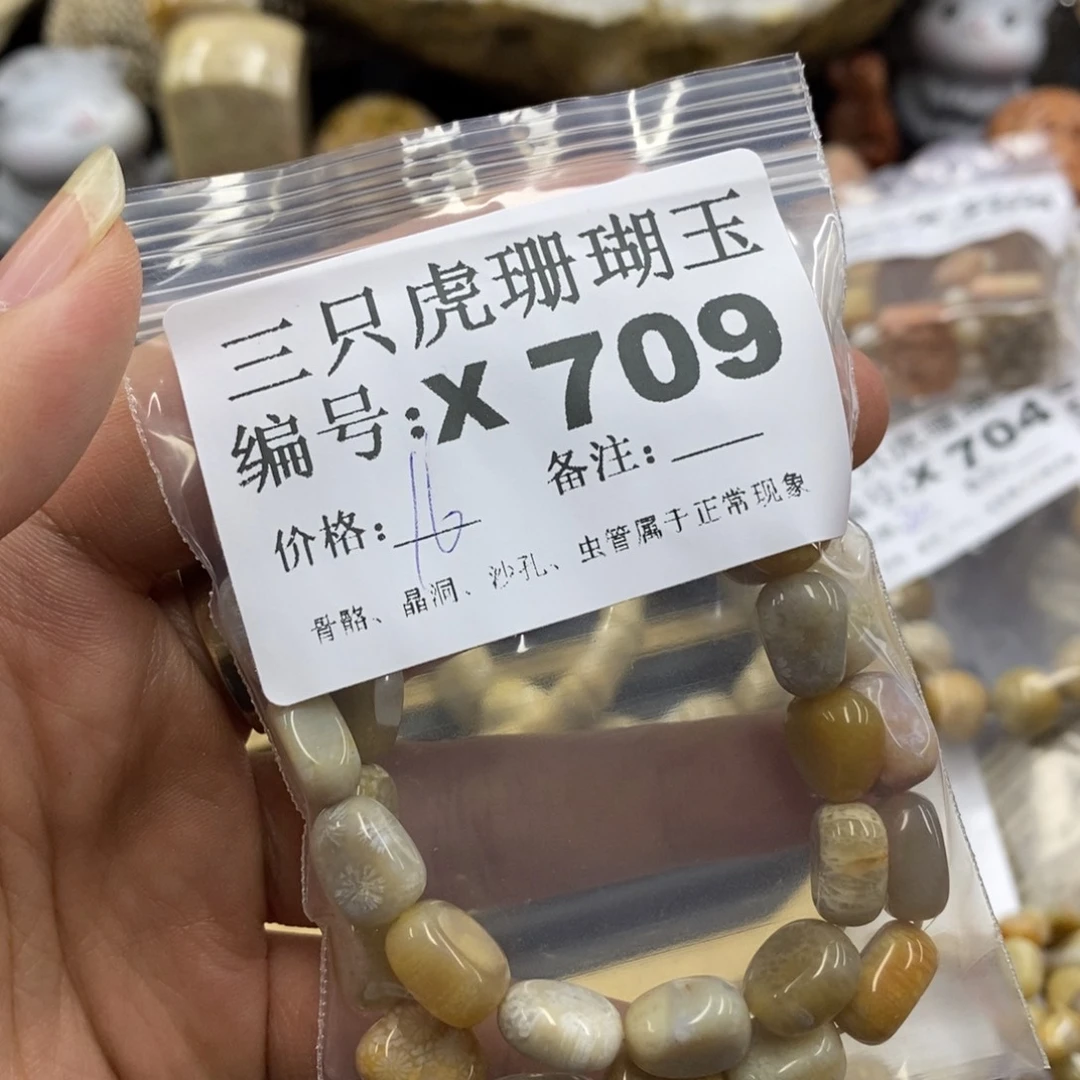 硅化珊瑚（珊瑚玉）1未镶嵌芃*