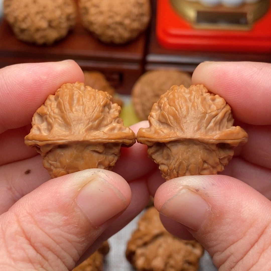 把件文玩核桃28全品毕业小金豆野生