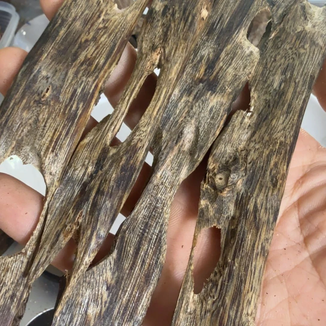 沉香沉香碎屑张勺子树心43克