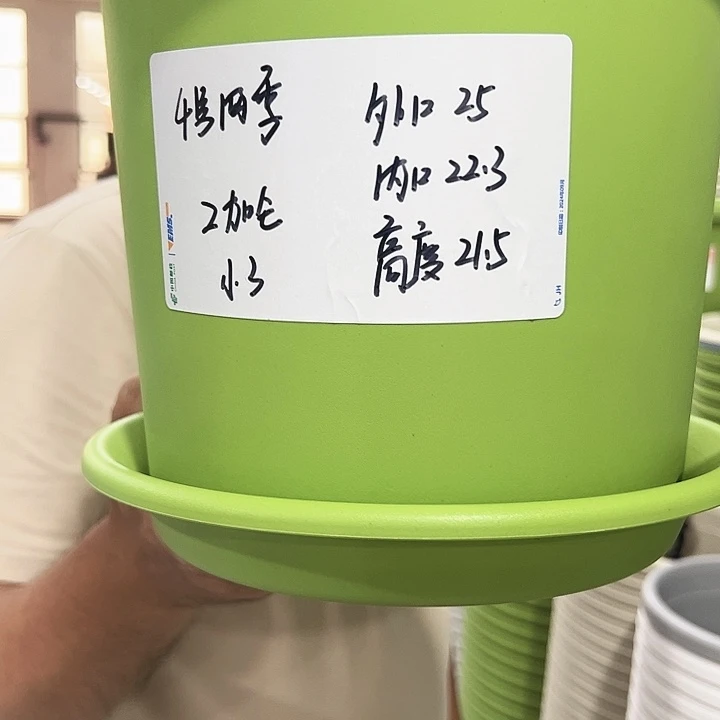 特价4号四季口25高21混色8个带托