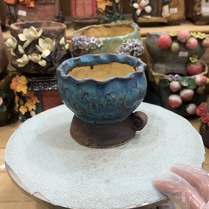 特价多肉花盆百搭