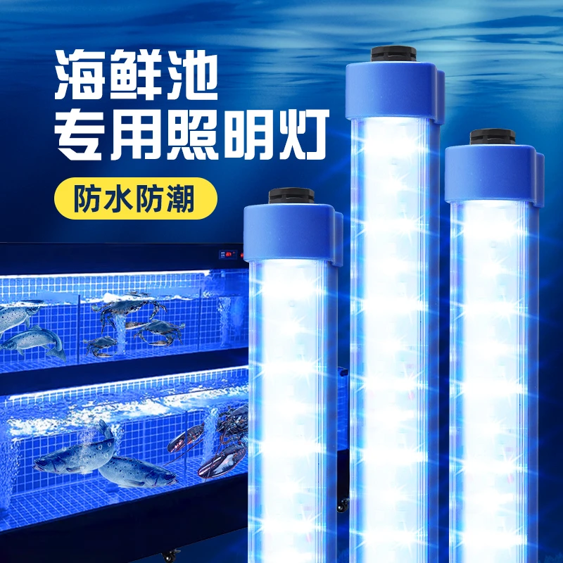 海鲜池灯管鱼缸专用LED防水220饭店鱼池蓝白光水产水族养鱼照明灯
