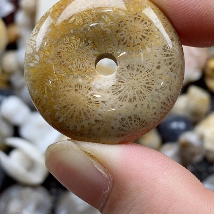 颈饰未镶嵌硅化珊瑚（珊瑚玉）