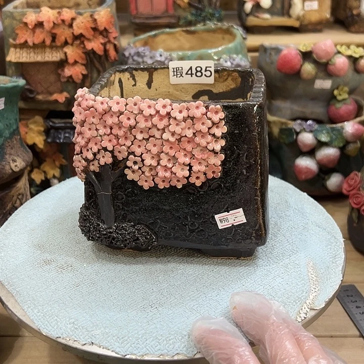 陶然多肉花盆百搭