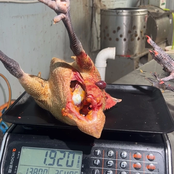 一号母鸡食用农产品石*木