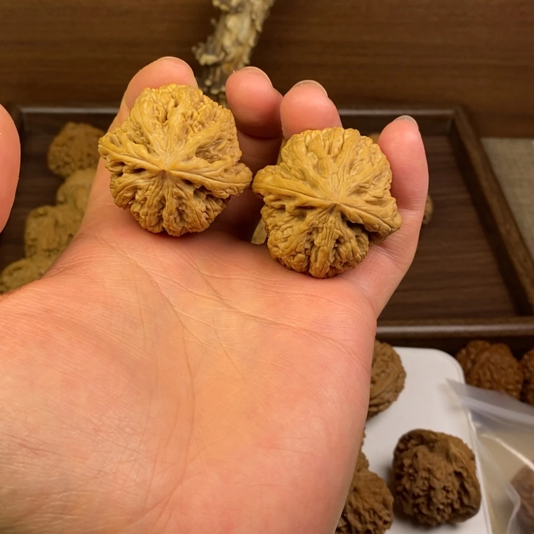 核桃全品大粗筋43尺寸