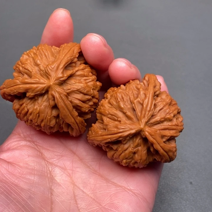 路***乙木质类核桃核桃核桃