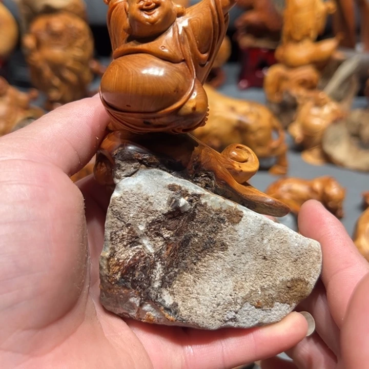 柏木（崖柏）点点关注