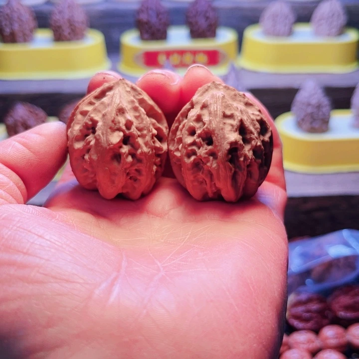 核桃10号车放漏漏漏