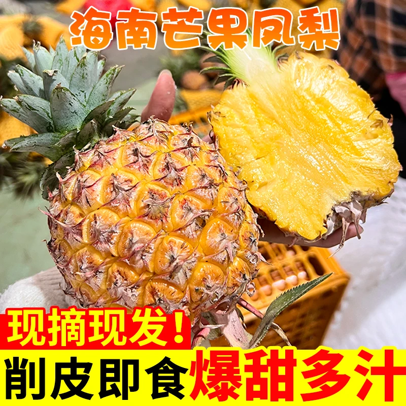 海南自然熟芒果凤梨海南台农23号脆甜多汁新鲜凤梨原产地现发