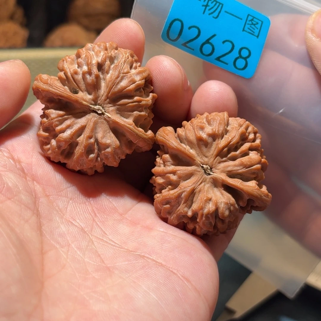 文玩核桃把件红珊瑚