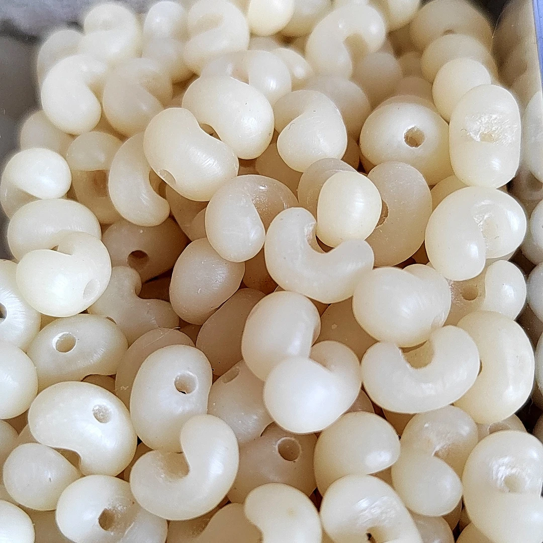 棕榈籽金佛草 粗磨已打孔去芯 卡9.0～9.5