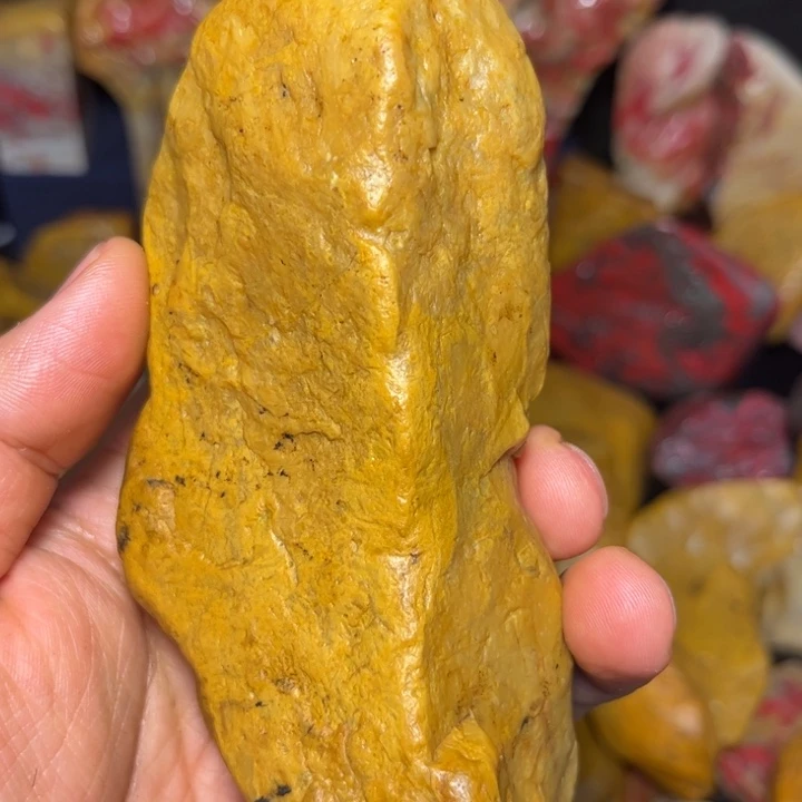 枕***涛昌化石国石昌化石