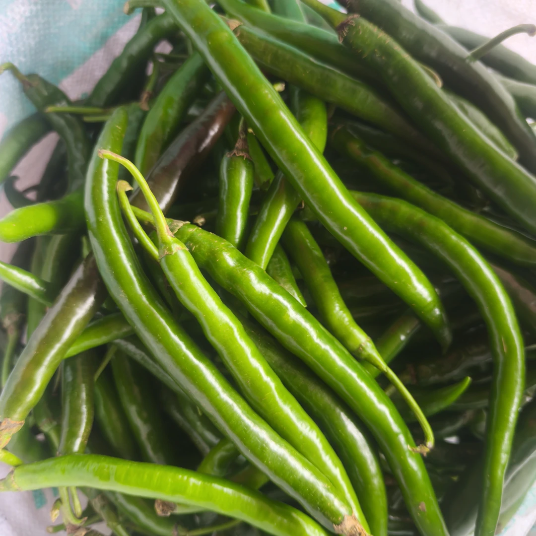 【小赵山货】云南边境农家青椒