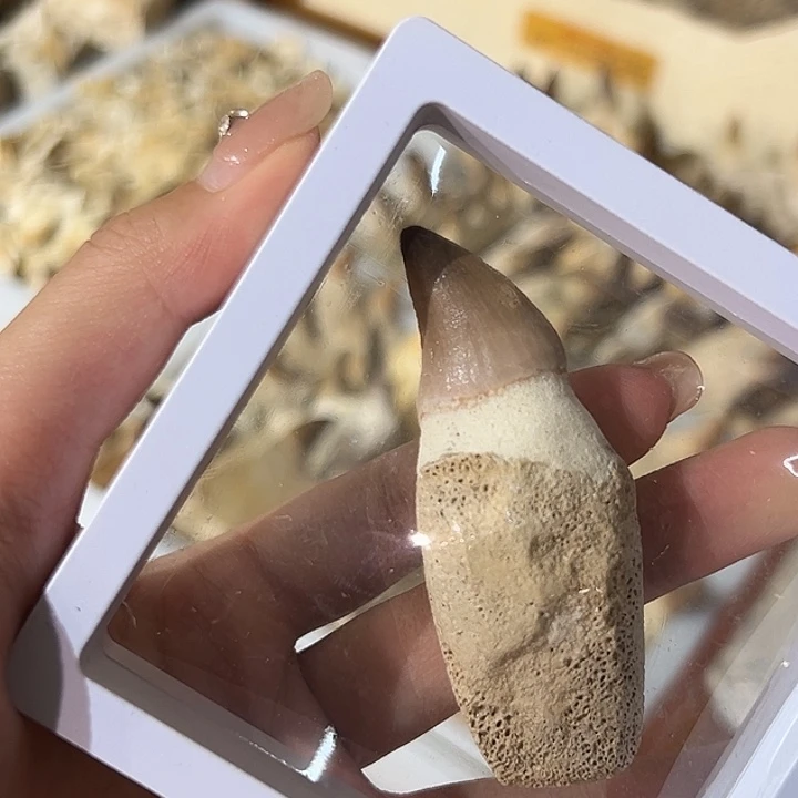 白***e精品系列摆件^_^^_^