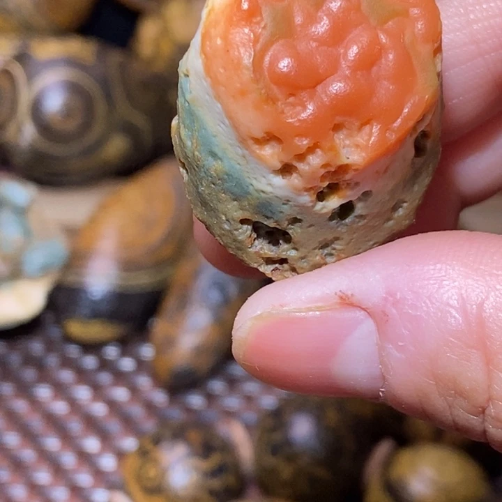 阿拉善戈壁干嘛啊