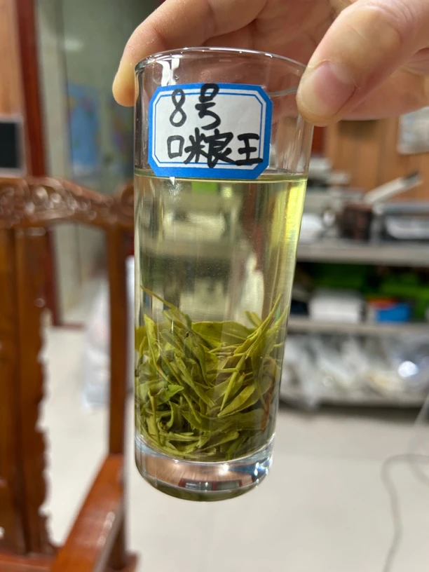2025年信阳毛尖固始高山老旱茶大叶口粮茶香浓耐泡实惠新茶