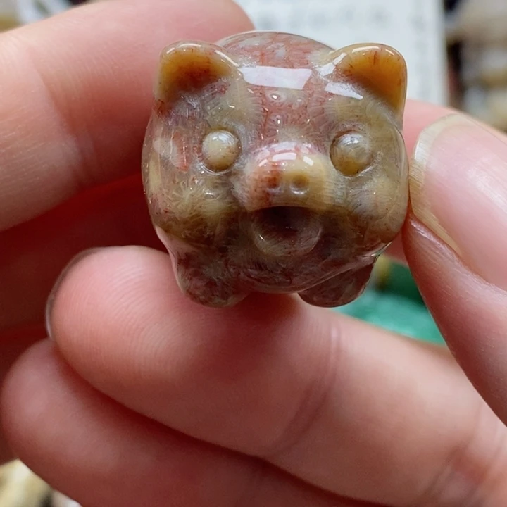 硅化珊瑚（珊瑚玉）颈饰未镶嵌