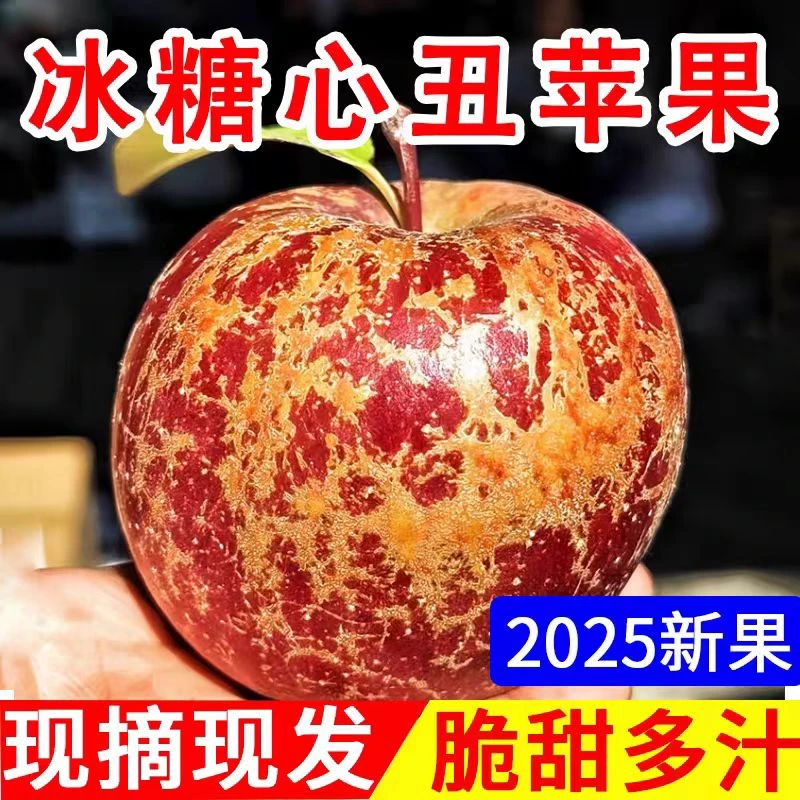 正宗大凉山盐源丑苹果冰糖心丑苹果新鲜现摘脆甜多汁产地直发水果