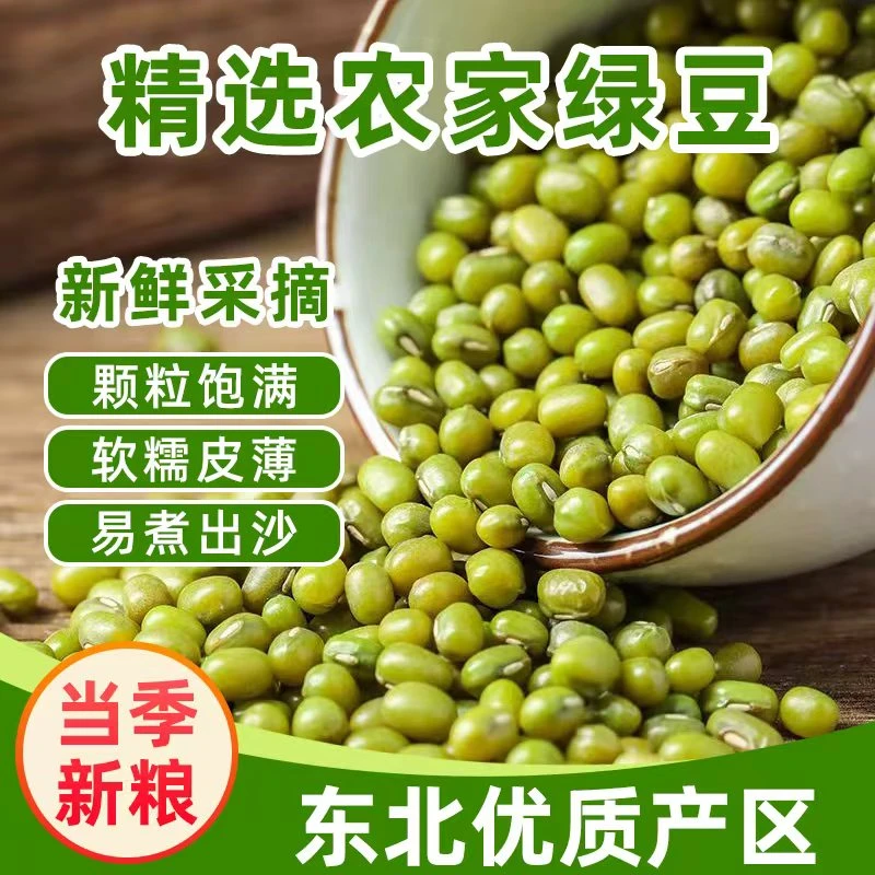 【 拍一发五斤】东北绿豆新货农家自产小绿豆绿豆汤材料