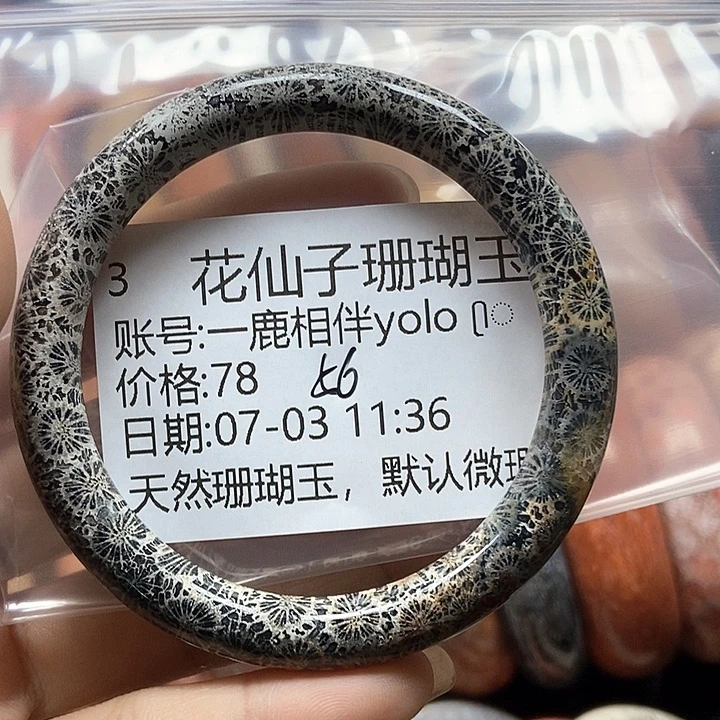 硅化珊瑚（珊瑚玉）11未镶嵌一****3