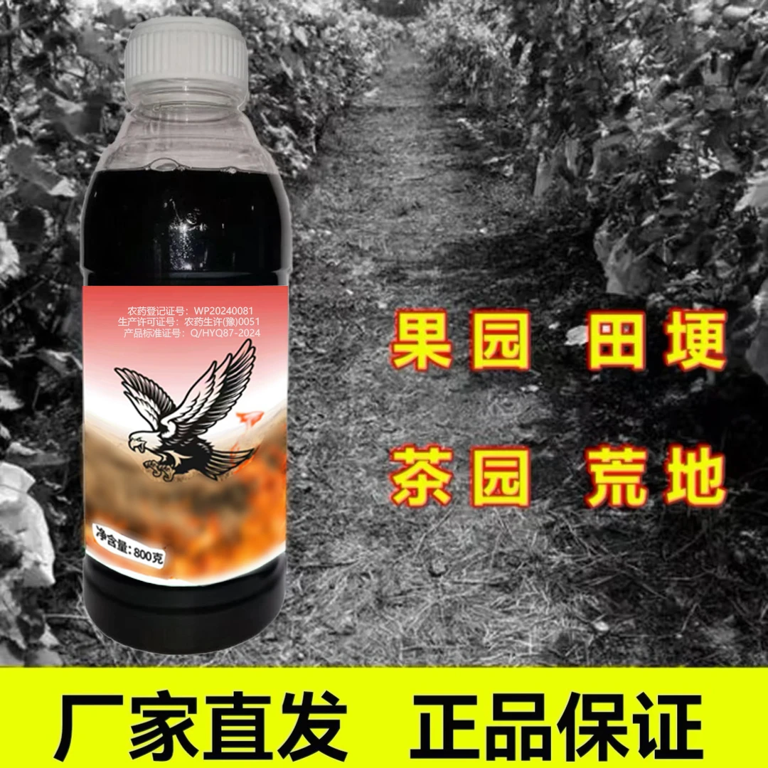 ZX果园田埂荒地户外喷雾使用正品包邮厂家直发