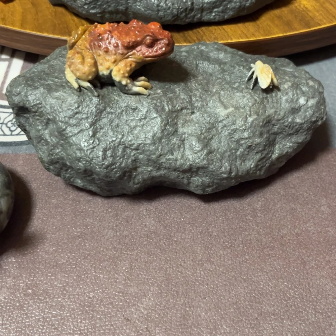 U***蚁寿山石寿山石交流活动