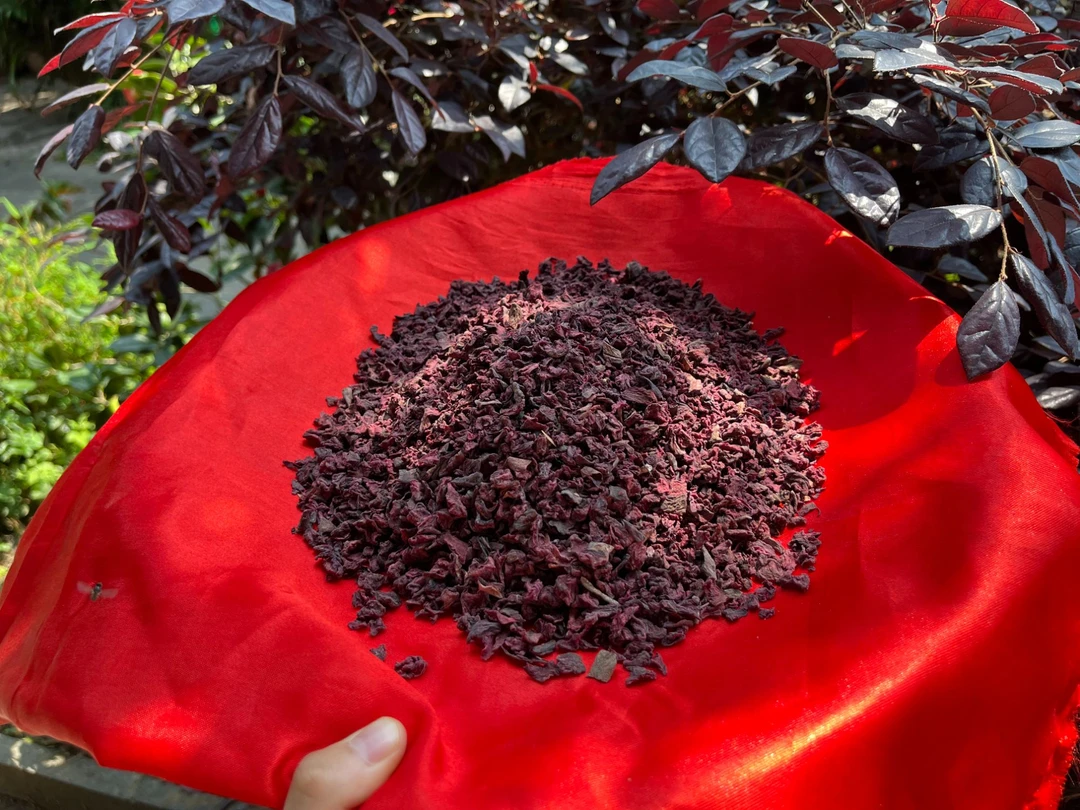 1【藏-血-灵-参】净含量：250g-1500g【阿徐现收】