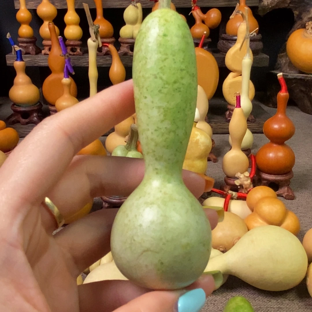 缪***斯葫芦直播间专属葫芦链接