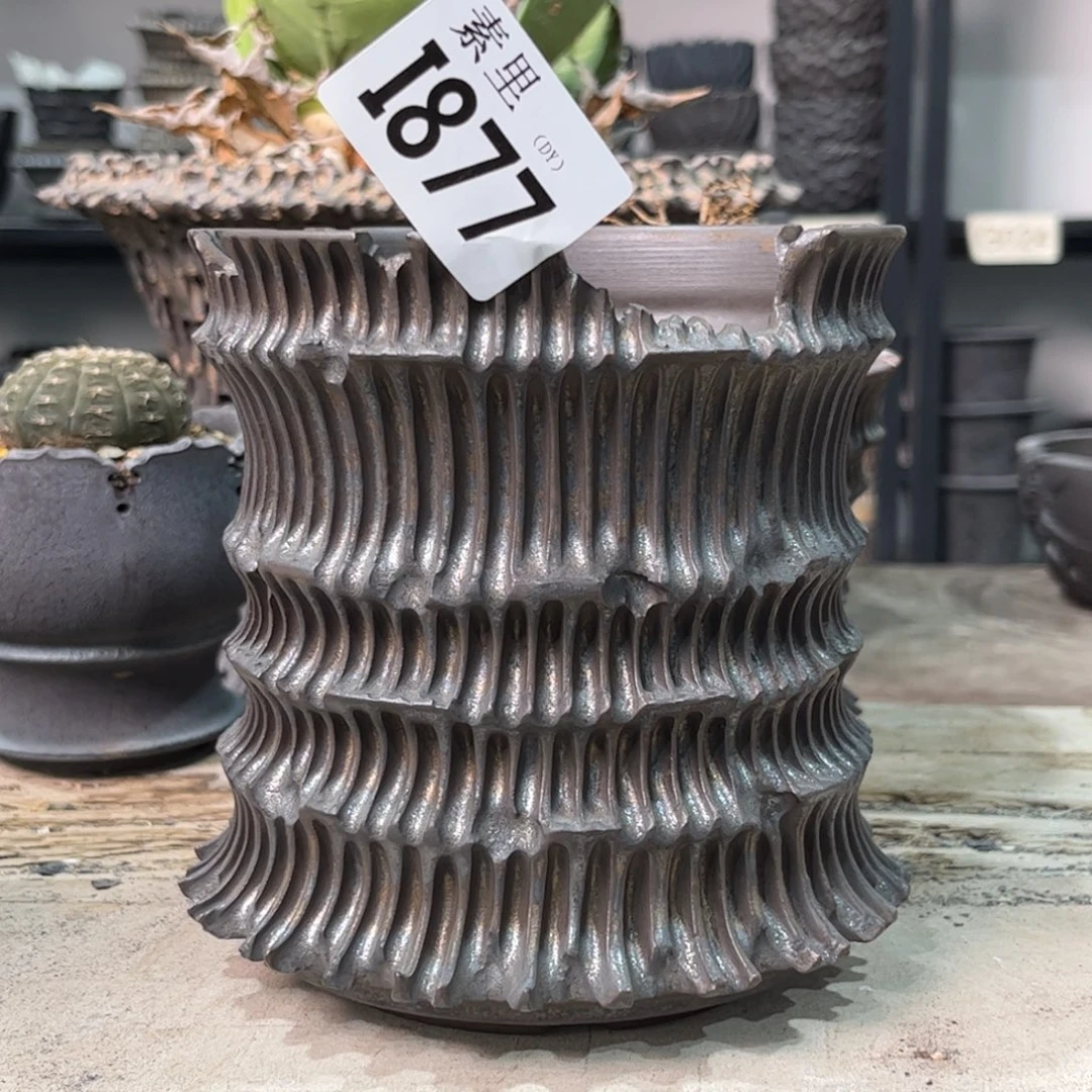 陶内口11.5道12瑕疵