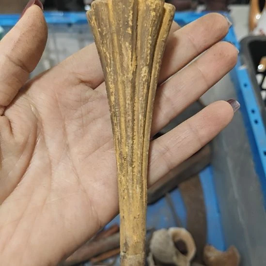 快***生其他陶瓷 摆件 孤品  微瑕  看好下单 NO退NO换