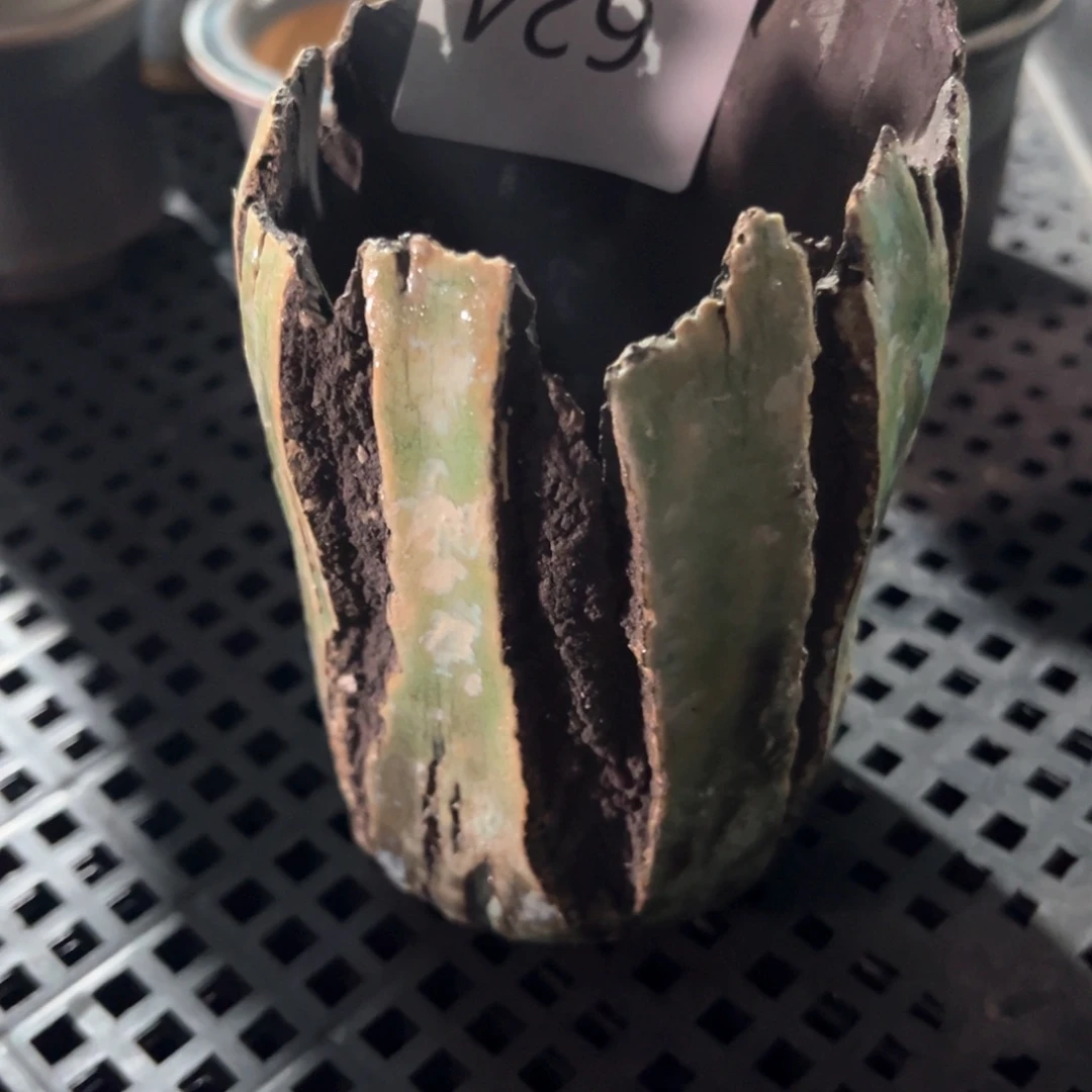 红陶乔*624花盆1个