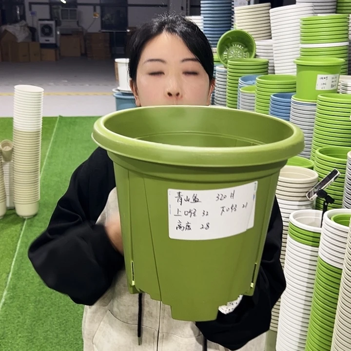 清仓青山口32高28果绿5只无托