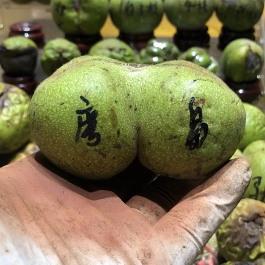 桃核吊坠核桃核桃