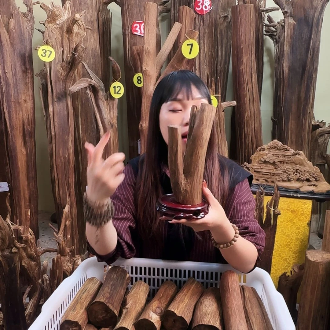 沉香沉香碎屑天然沉香原材料香料熏料