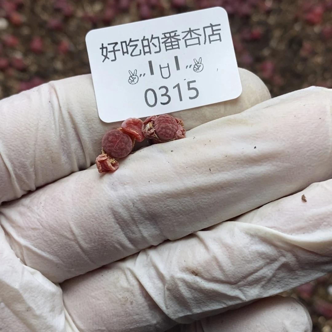 阳*20315。零下拍保温。